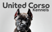 United Corso Kennels